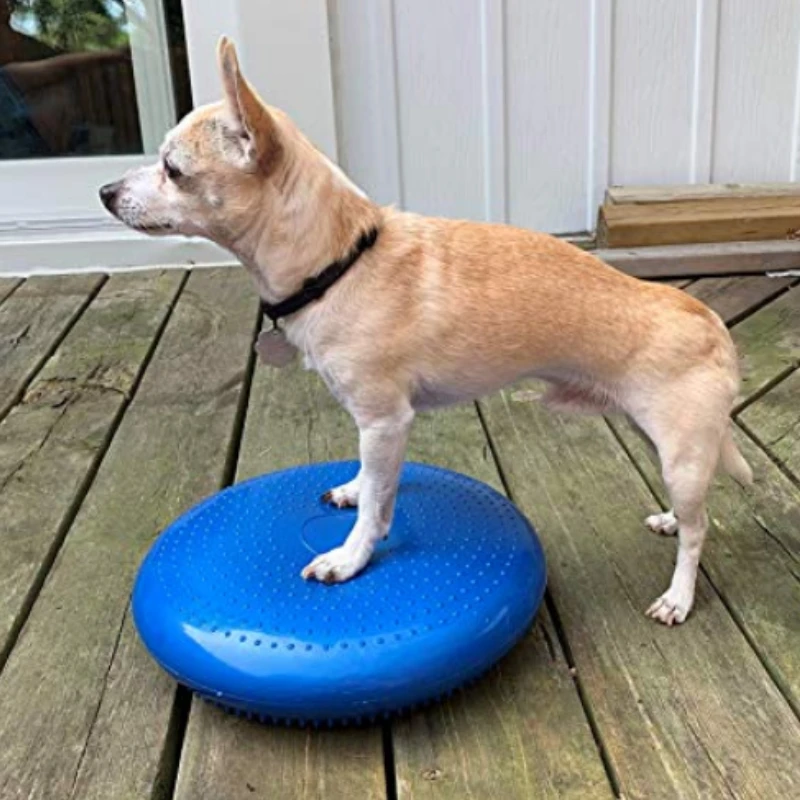 Flying Disc Dog Training Toy - จานรองสำหรับฝึกสุนัขช่วยปรับสมดุลการบินออกกำลังกายกล้ามเนื้อลีบสำหรับสุนัขของเล่นฝึกสมรรถภาพของสัตว์เลี้ยง