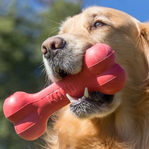 Rubber Treat Dispensing Dog Toy - กระดูกยางธรรมชาติสำหรับสุนัข ทนทาน คลาสสิก ช่วยเสริมสร้างพัฒนาการทางจิตใจ - ใช้สำหรับใส่ขนม