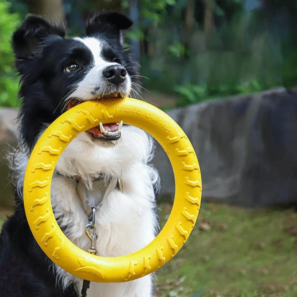 Indestructible Dog Chew Toy - ของเล่นห่วงสำหรับสุนัข ทนทานต่อการกัด บินได้ ลอยน้ำได้ อุปกรณ์ฝึกสุนัข สำหรับสุนัขขนาดเล็ก