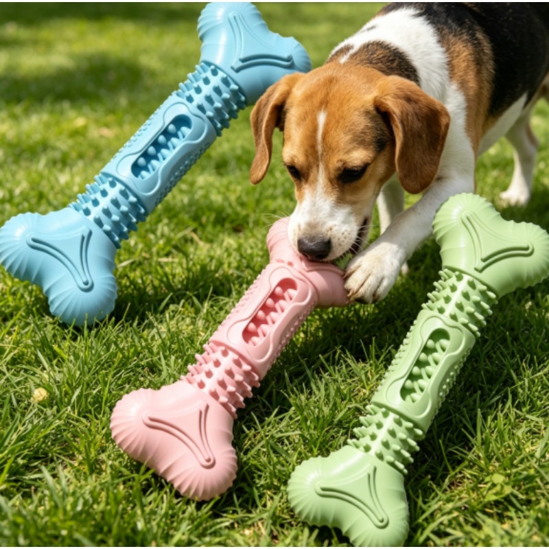 Teeth Cleaning Dog Chew Bone - ชุดของเล่นสำหรับสัตว์เลี้ยงแบบใหม่ ทนทาน ของเล่นสำหรับสุนัขกัดแทะ ของเล่นรูปทรงกระดูก TPR สำหรับทำความสะอาดฟันสุนัข