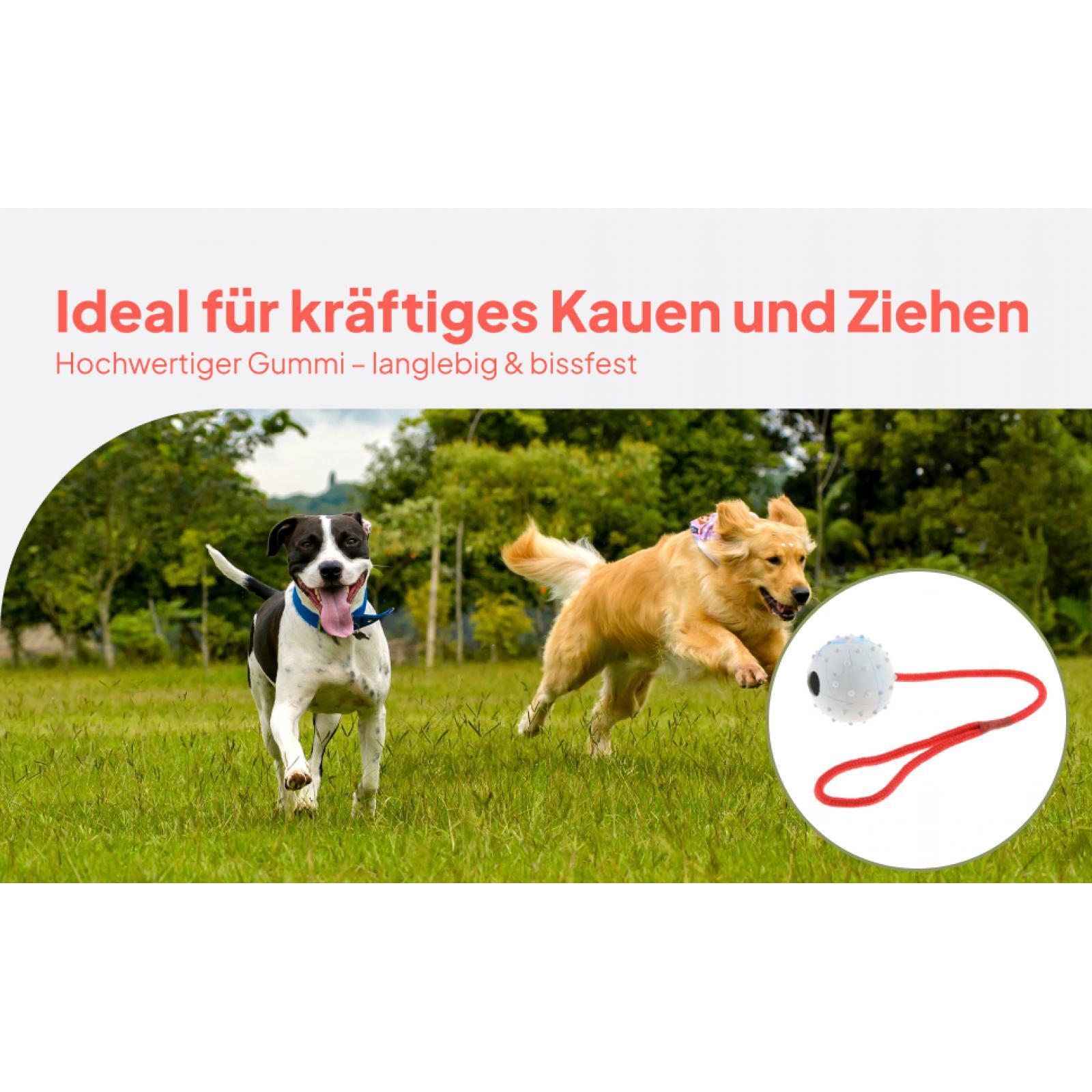 Rubber Treat Dispensing Dog Toy - ของเล่นฝึกสัตว์เลี้ยง ลูกบอลยางนุ่มสำหรับเคี้ยว ของเล่นแบบมีช่องใส่ขนมสำหรับสุนัข ช่วยทำความสะอาดเหงือก