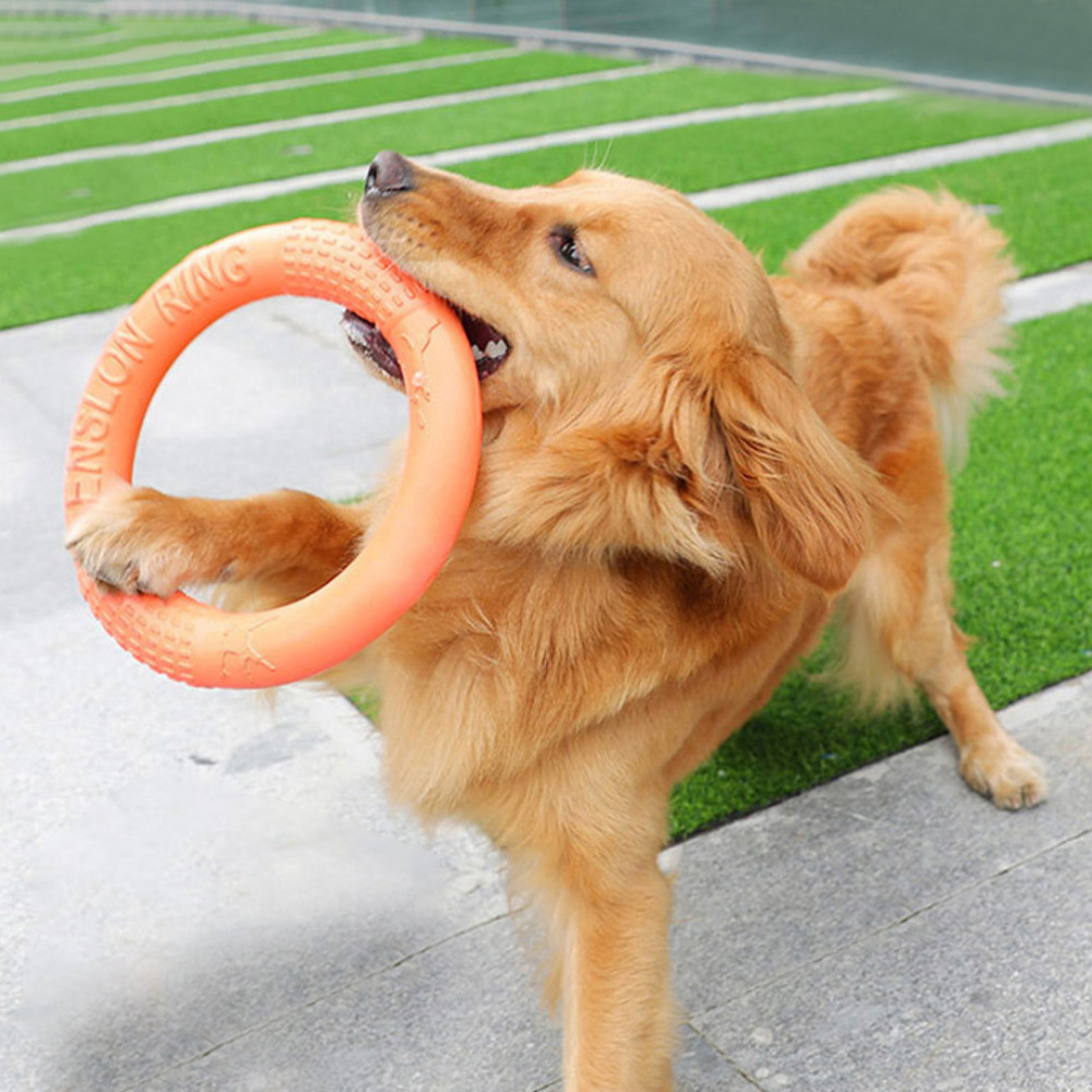 1ชิ้นของเล่นสุนัขสีส้มแหวนฝึกส - Suction Cup Dog Tug Toy บทวิจารณ์และราคา