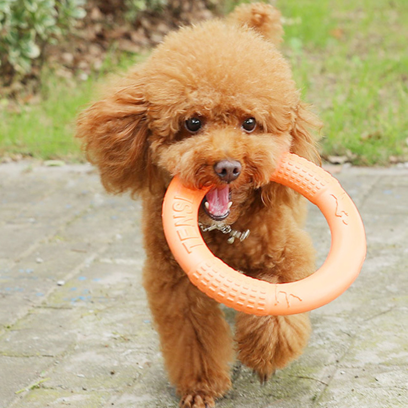 1ชิ้นของเล่นสุนัขสีส้มแหวนฝึกส - Suction Cup Dog Tug Toy บทวิจารณ์และราคา