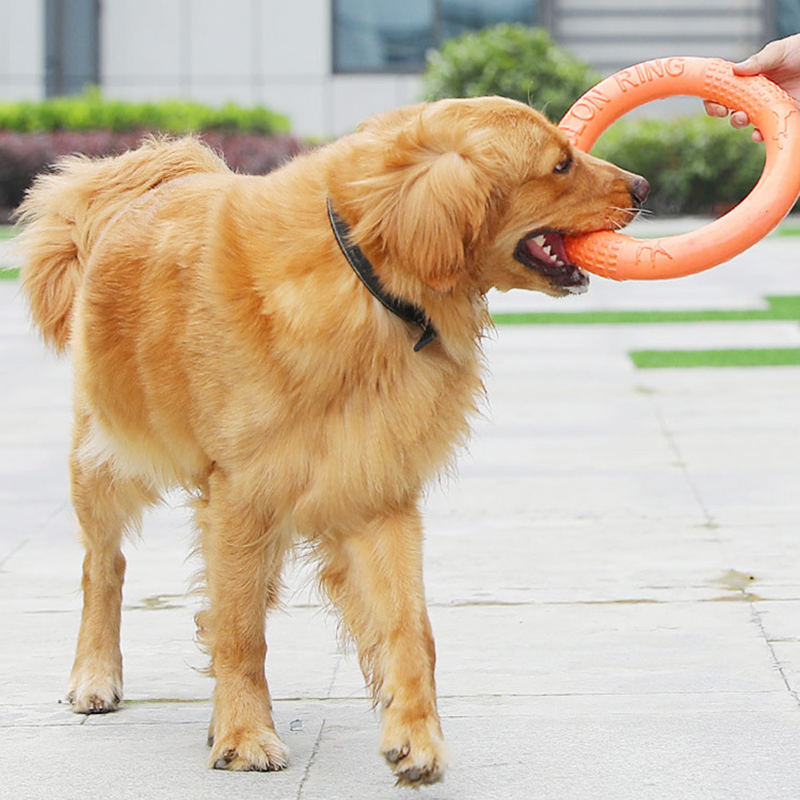 1ชิ้นของเล่นสุนัขสีส้มแหวนฝึกส - Suction Cup Dog Tug Toy บทวิจารณ์และราคา