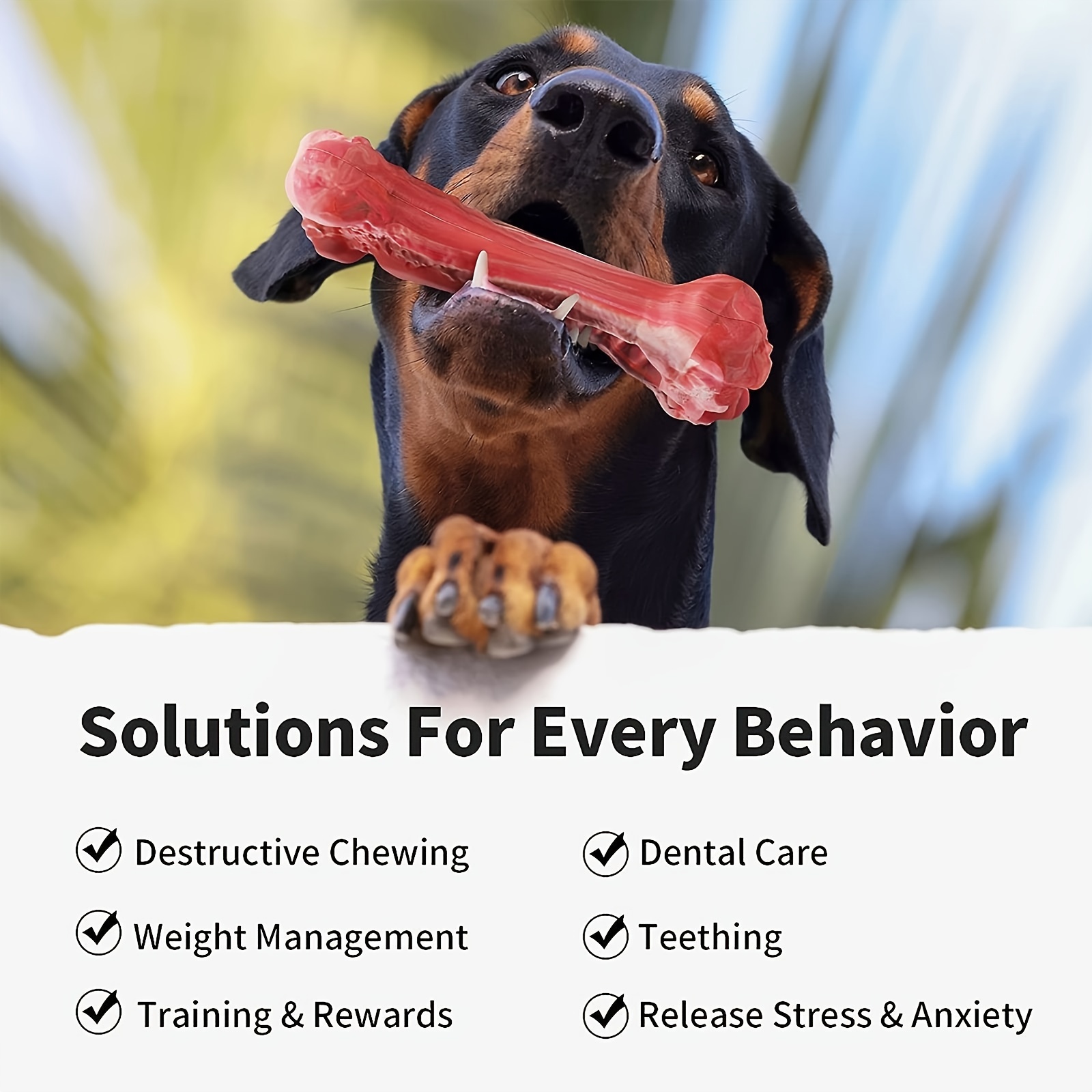 ของเล่นสุนัขกัดทำจากซิลิโคน ยา - Indestructible Dog Chew Toy บทวิจารณ์และราคา