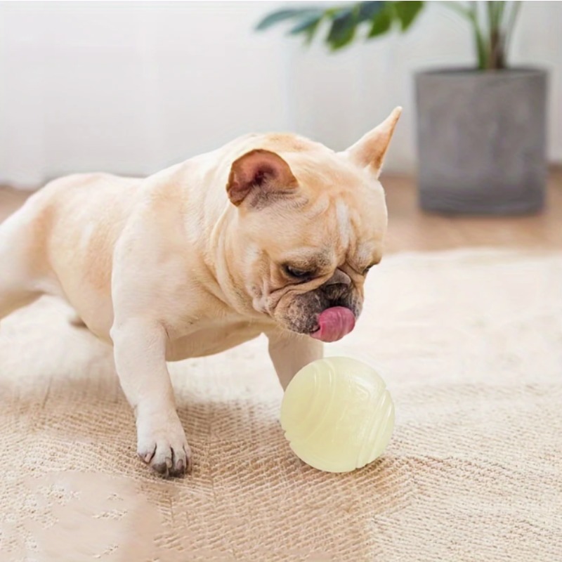 ลูกบอลยางเรืองแสงในที่มืดสำหรั - Indestructible Dog Chew Toy บทวิจารณ์และราคา