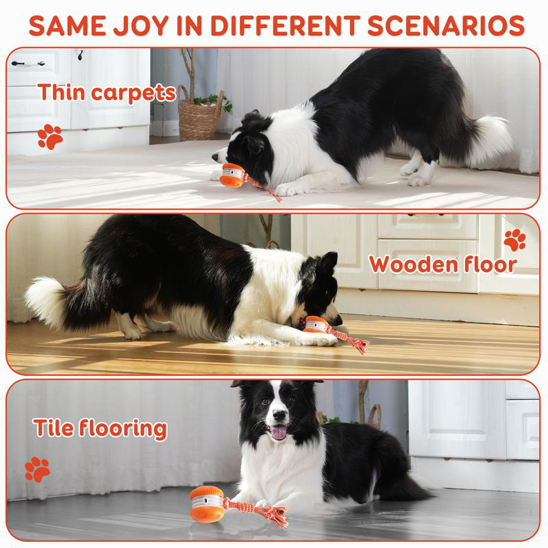 ลูกบอลของเล่นสัตว์เลี้ยงอัจฉริ - Automatic Moving Dog Ball บทวิจารณ์และราคา