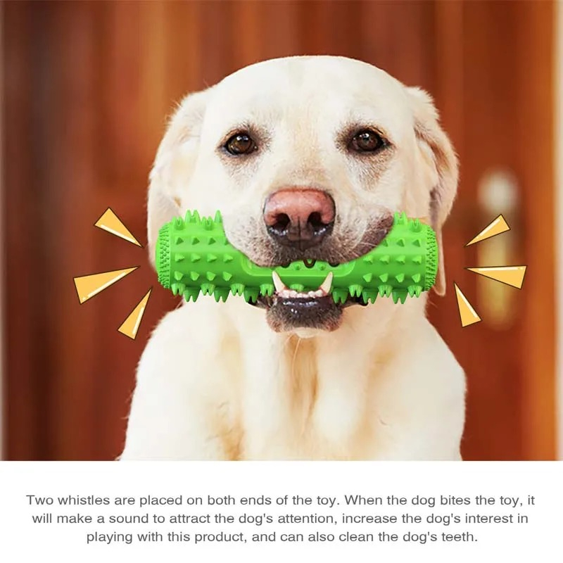 ของเล่นสุนัขแบบมีเสียง แปรงสีฟ - Rubber Treat Dispensing Dog Toy บทวิจารณ์และราคา