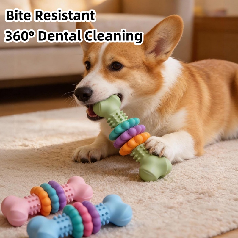 ของเล่นเคี้ยวสำหรับสุนัข TPR ท - Teeth Cleaning Dog Chew Bone บทวิจารณ์และราคา