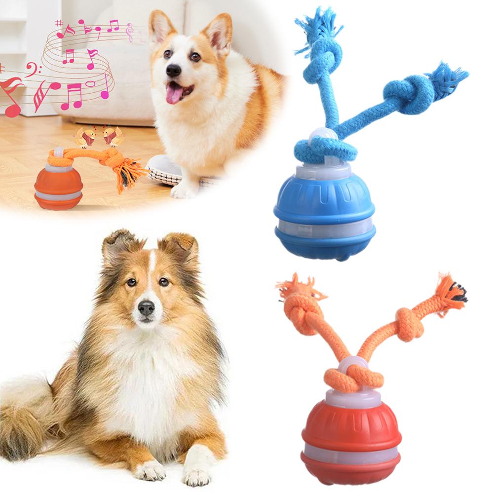 ลูกบอลสุนัขอัจฉริยะแบบชาร์จไฟไ - Automatic Moving Dog Ball บทวิจารณ์และราคา