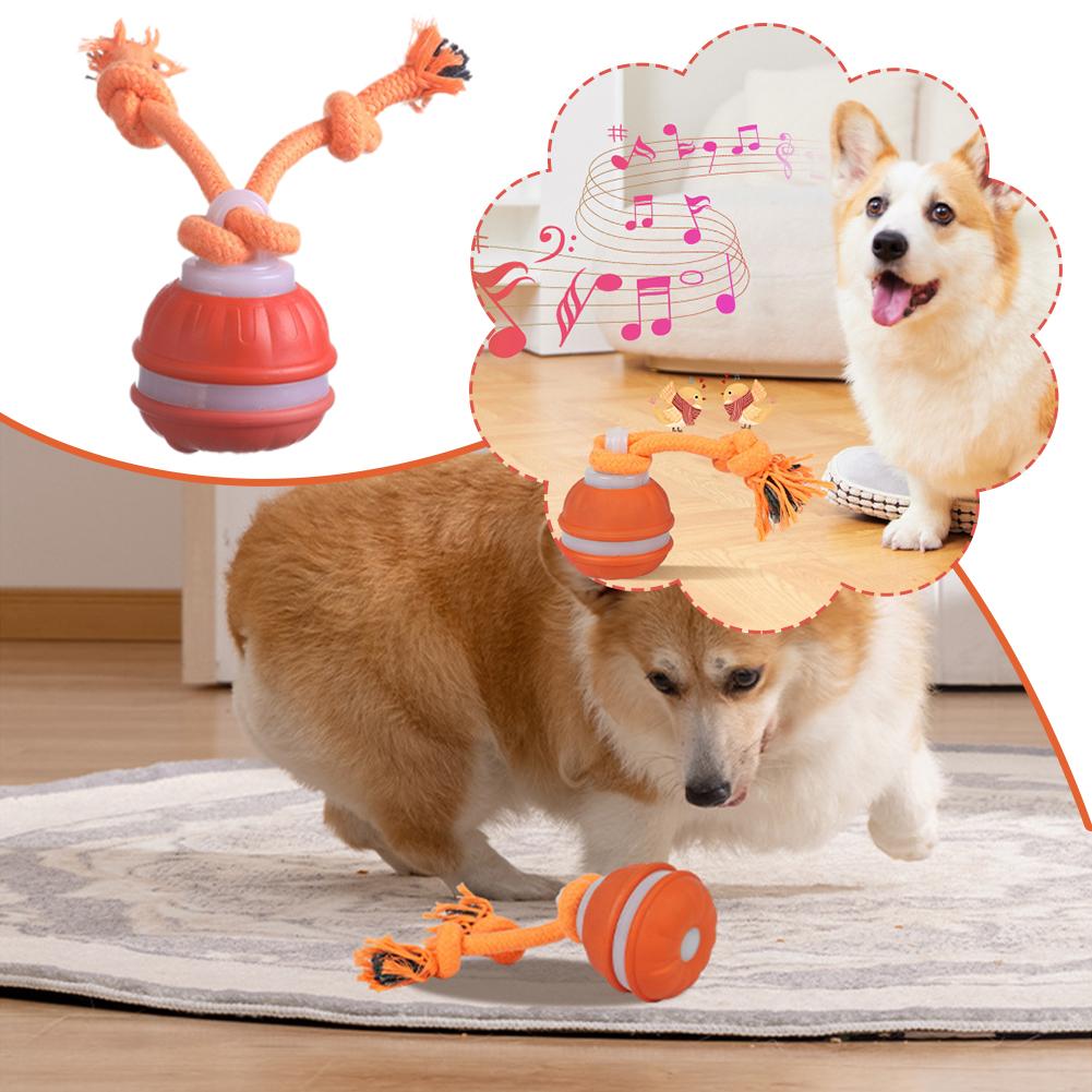 ลูกบอลสุนัขอัจฉริยะแบบชาร์จไฟไ - Automatic Moving Dog Ball บทวิจารณ์และราคา