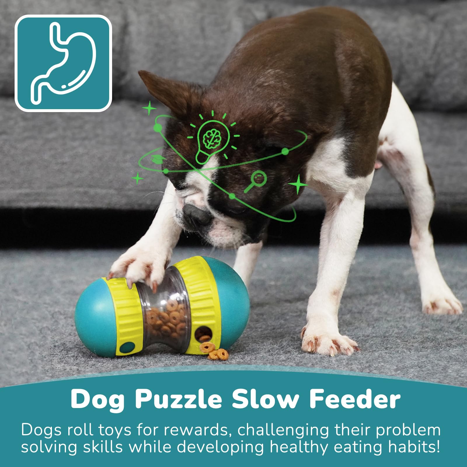 ของเล่นสุนัขและลูกบอลให้อาหารแ - Snuffle Mat For Dogs บทวิจารณ์และราคา