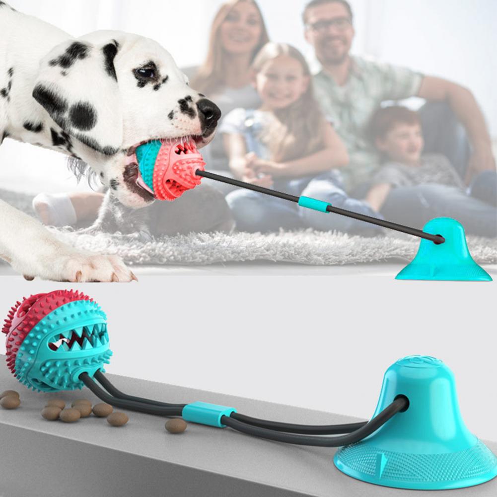 สุนัขเคี้ยวของเล่นสําหรับก้าวร - Suction Cup Dog Tug Toy บทวิจารณ์และราคา