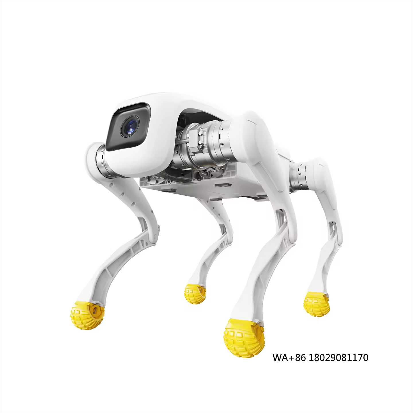 หุ่นยนต์สุนัขดีไซน์ทันสมัย AI  - Dog Toys บทวิจารณ์และราคา