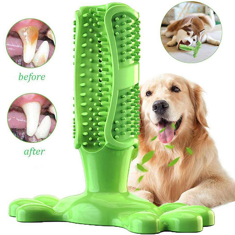 สัตว์เลี้ยงสุนัขแคคตัสยางแบบโต - Rubber Treat Dispensing Dog Toy บทวิจารณ์และราคา