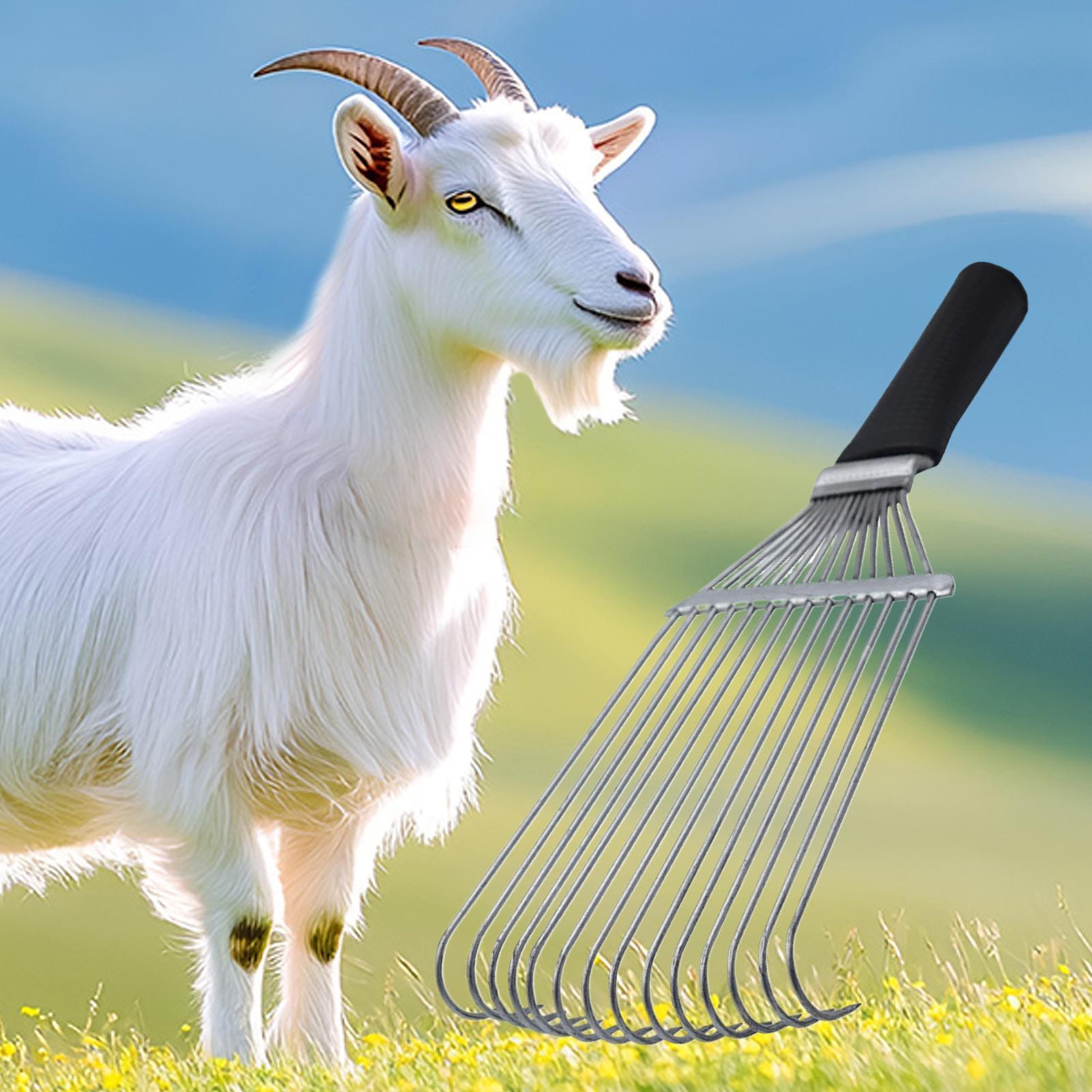 หวีแปรงขนสัตว์เลี้ยง หวีขจัดขน - Pet Grooming บทวิจารณ์และราคา