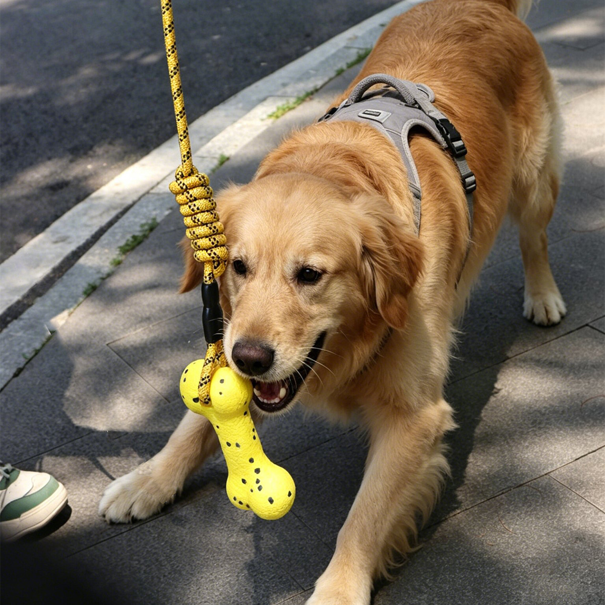 ของเล่นเชือกสำหรับสุนัข ทนทานพ - Dog Rope Toy Aggressive Chewers บทวิจารณ์และราคา