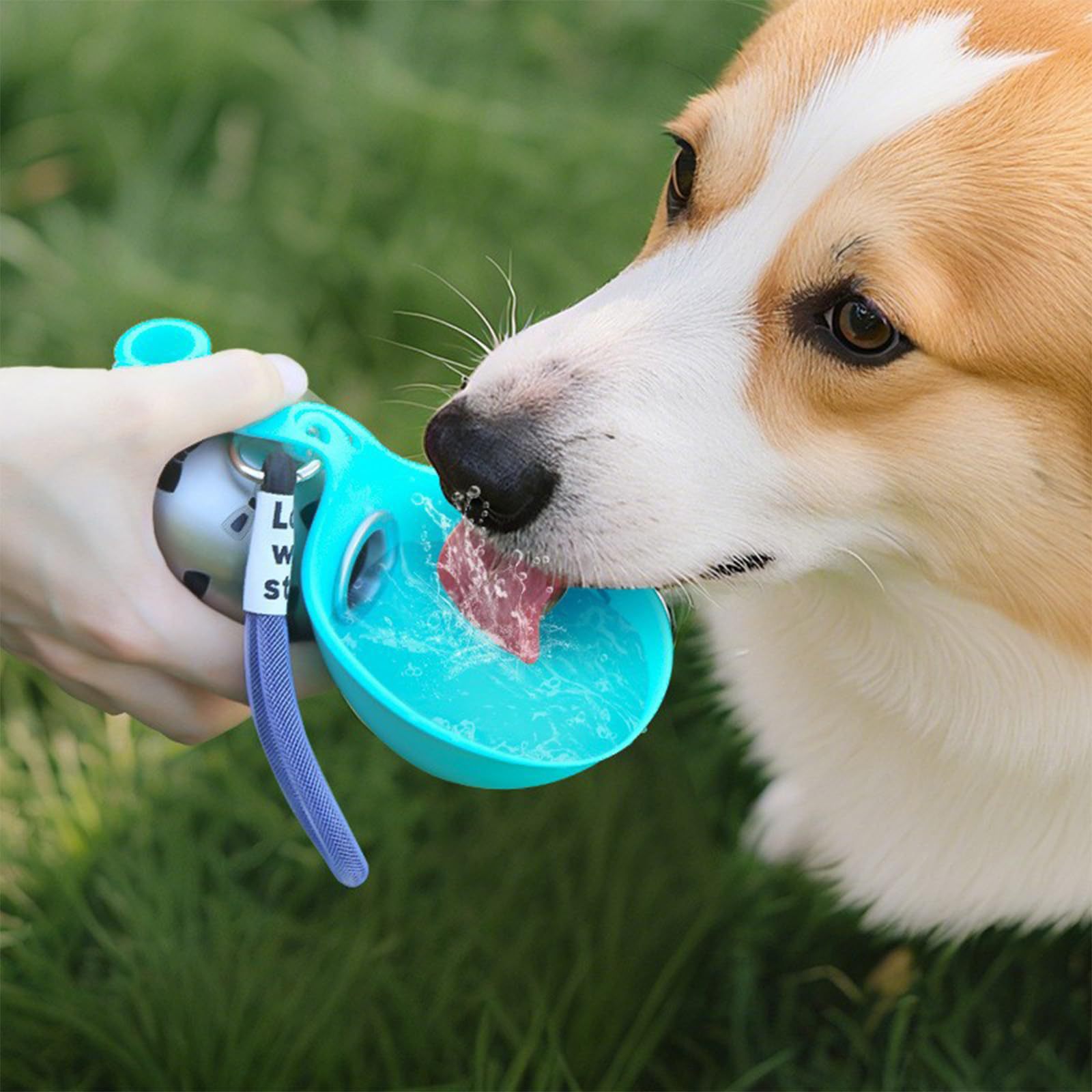 ภาชนะใส่น้ำพกพาสำหรับสัตว์เลี้ - Pet Feeders บทวิจารณ์และราคา