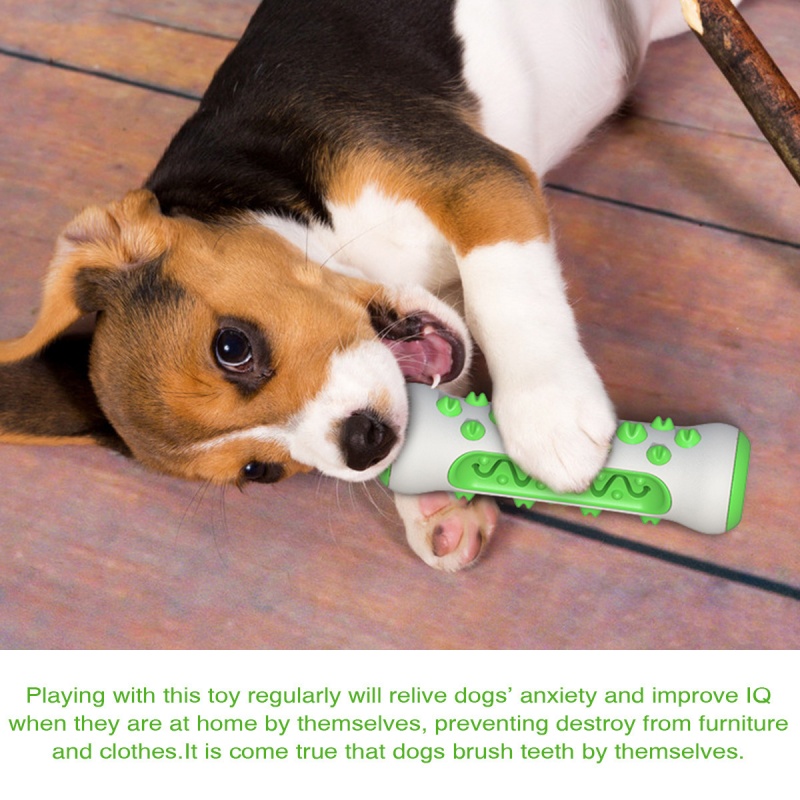 ของเล่นเคี้ยวสำหรับสุนัข ช่วยด - Teeth Cleaning Dog Chew Bone บทวิจารณ์และราคา