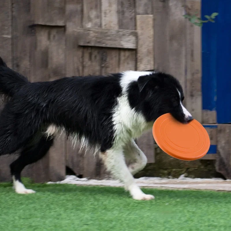แผ่นบินทนเคี้ยวฝึกสุนัขแบบโต้ต - Flying Disc Dog Training Toy บทวิจารณ์และราคา