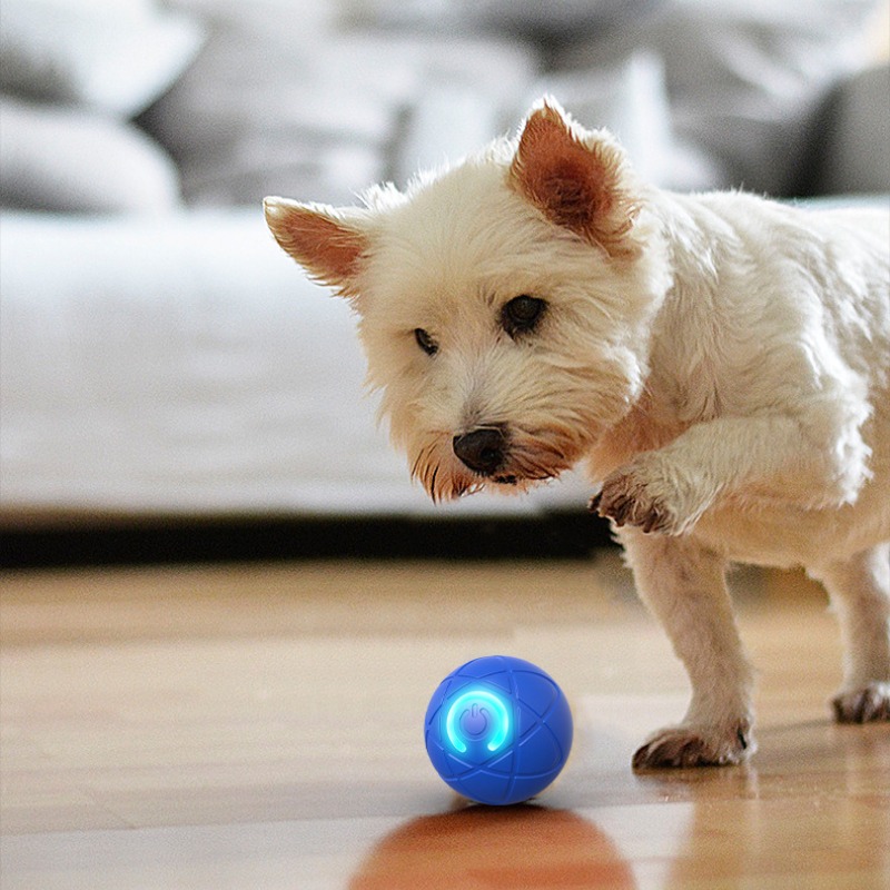 สมาร์ทของเล่นสุนัข Ball USB อั - Suction Cup Dog Tug Toy บทวิจารณ์และราคา