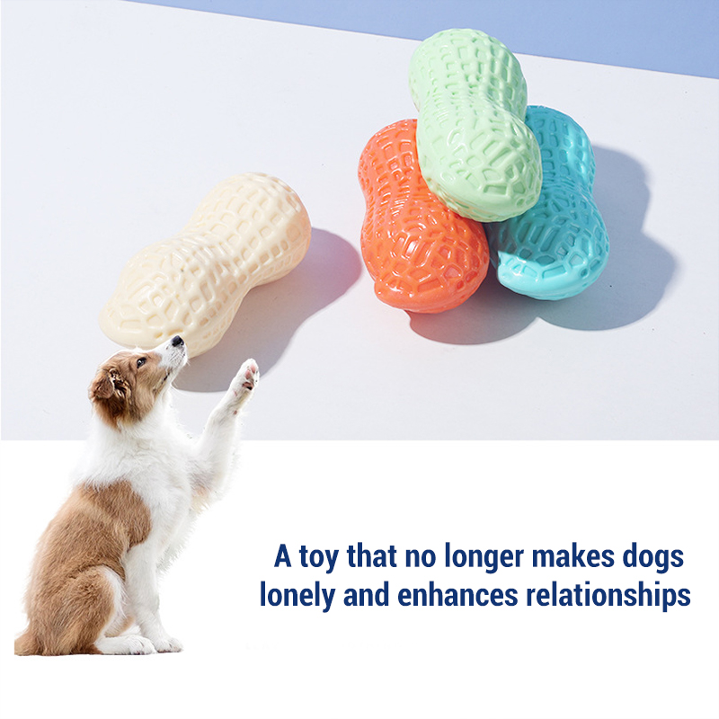 ของเล่นเคี้ยวสำหรับสุนัขรูปกระ - Teeth Cleaning Dog Chew Bone บทวิจารณ์และราคา