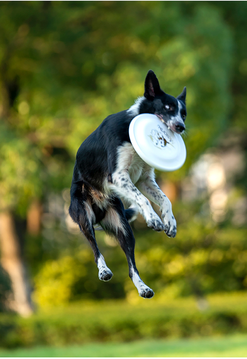 Ouzey ของเล่นแผ่นดิสก์สำหรับฝึ - Flying Disc Dog Training Toy บทวิจารณ์และราคา