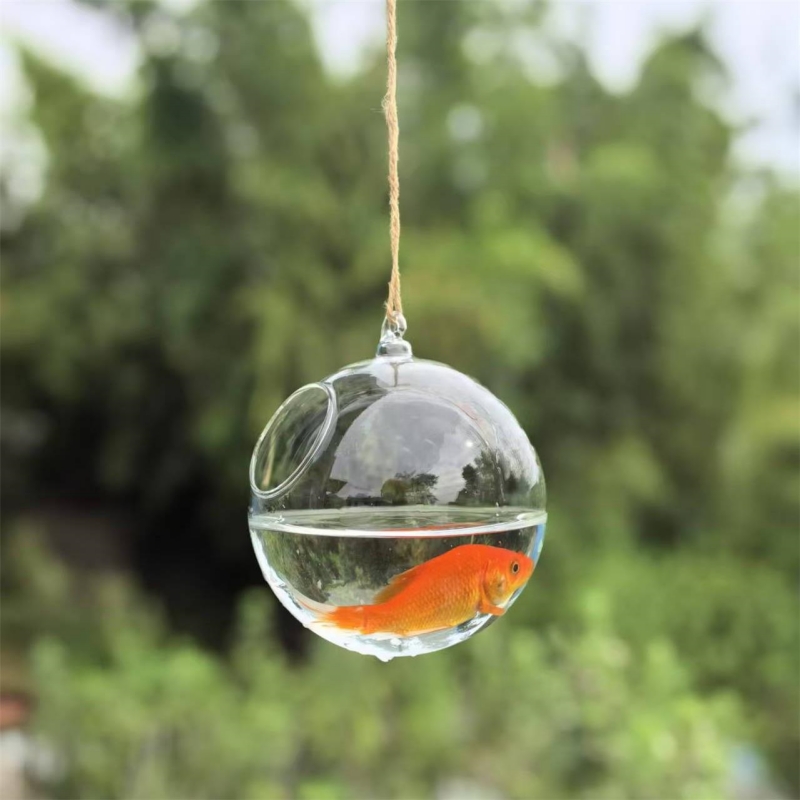 กระบอกแก้วใสขนาดเล็ก เส้นผ่านศ - Aquarium บทวิจารณ์และราคา