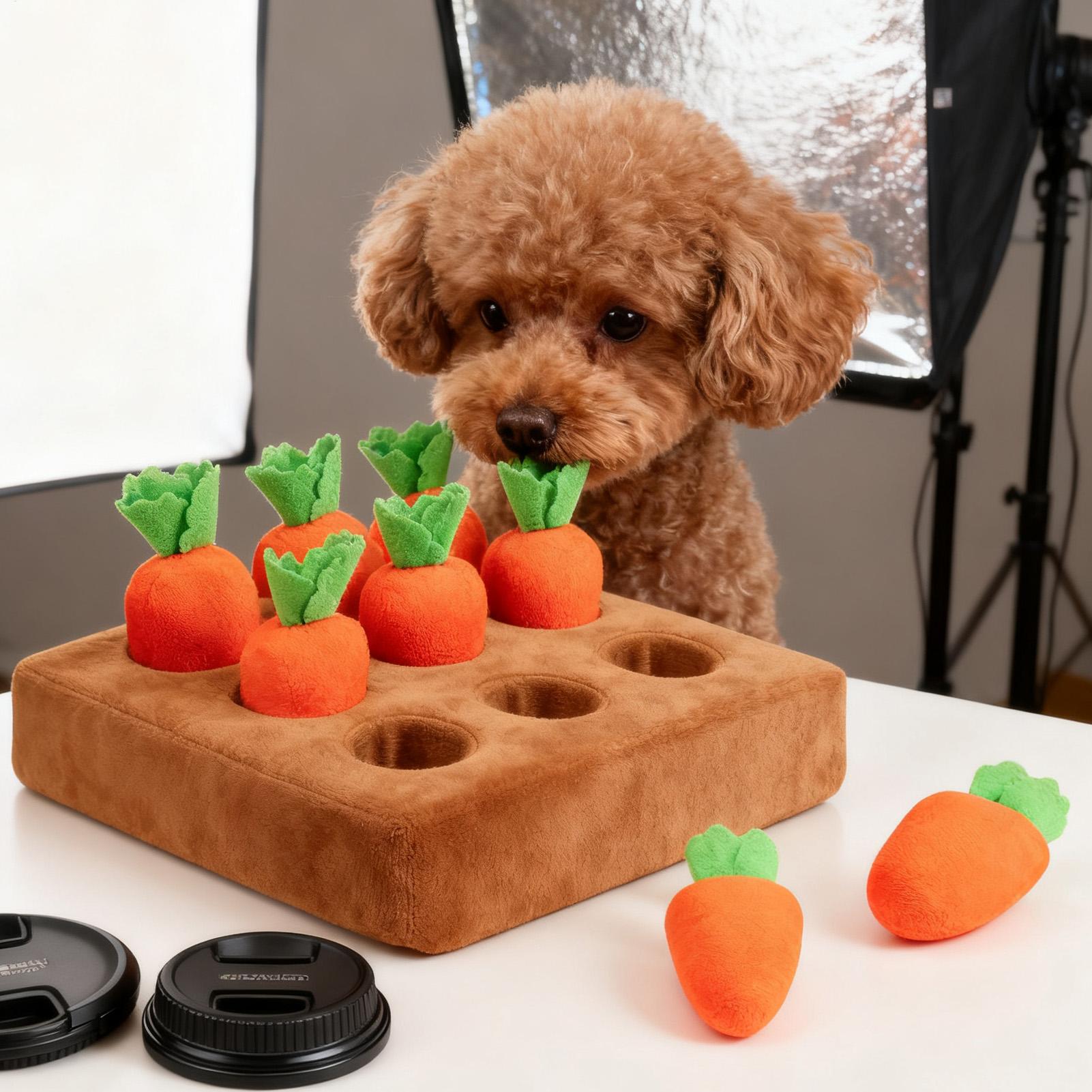 แผ่นรองดมกลิ่นสำหรับลูกสุนัข ข - Snuffle Mat For Dogs บทวิจารณ์และราคา