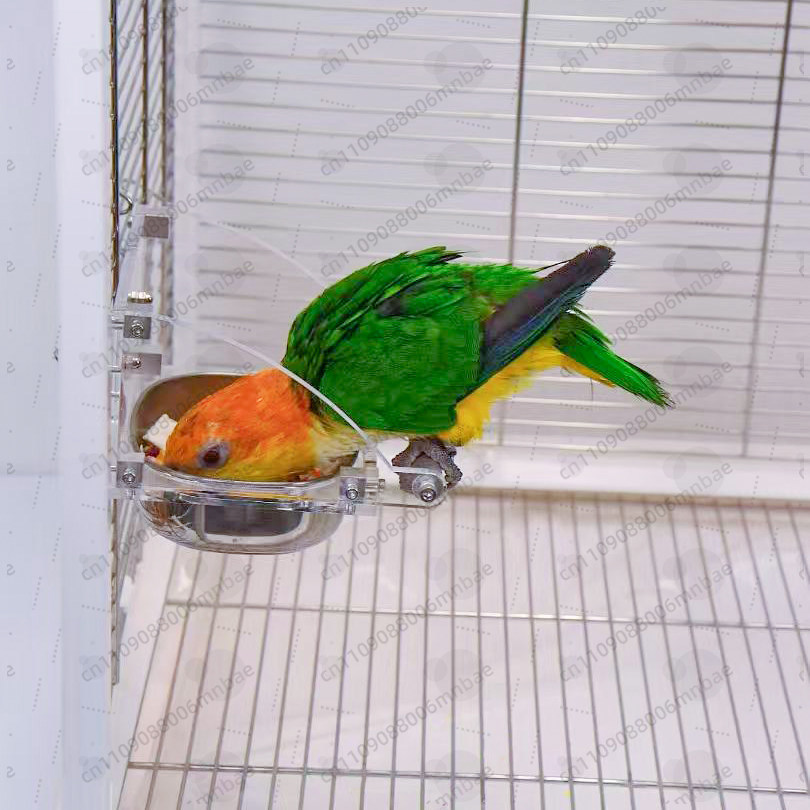 กล่องอาหารนกแก้ว สแตนเลส อะคริ - Pet Feeders บทวิจารณ์และราคา