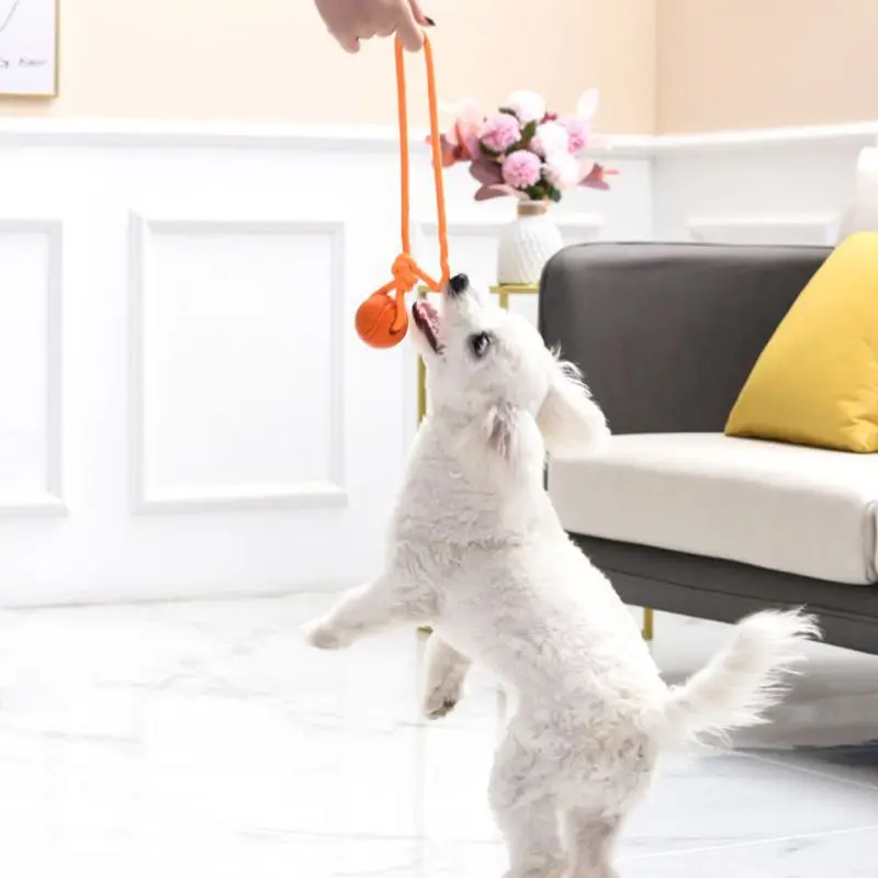 ลูกบอลสำหรับฝึกสุนัขของเล่นแบบ - Suction Cup Dog Tug Toy บทวิจารณ์และราคา