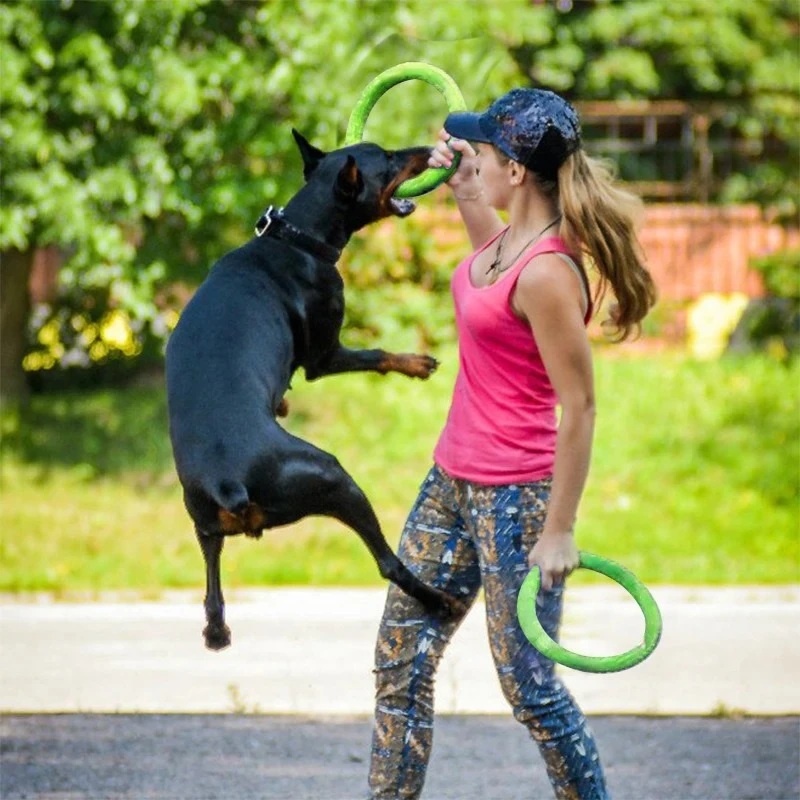 ของเล่นสุนัขของเล่นสัตว์เลี้ยง - Suction Cup Dog Tug Toy บทวิจารณ์และราคา