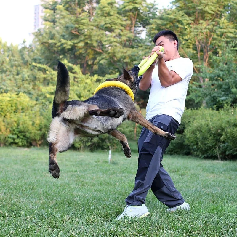 ของเล่นสุนัขของเล่นสัตว์เลี้ยง - Suction Cup Dog Tug Toy บทวิจารณ์และราคา