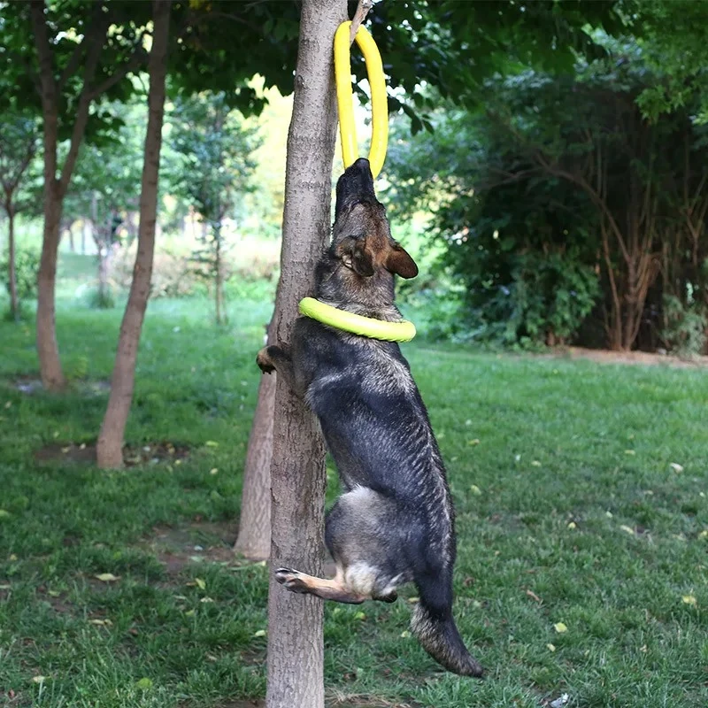 ของเล่นสุนัข จานร่อน EVA ของเล - Flying Disc Dog Training Toy บทวิจารณ์และราคา