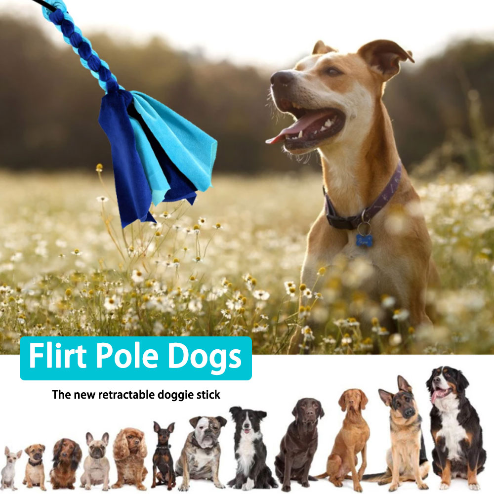 Retractable Dog Stick Interact - Interactive Squeaky Plush Dog Toy บทวิจารณ์และราคา