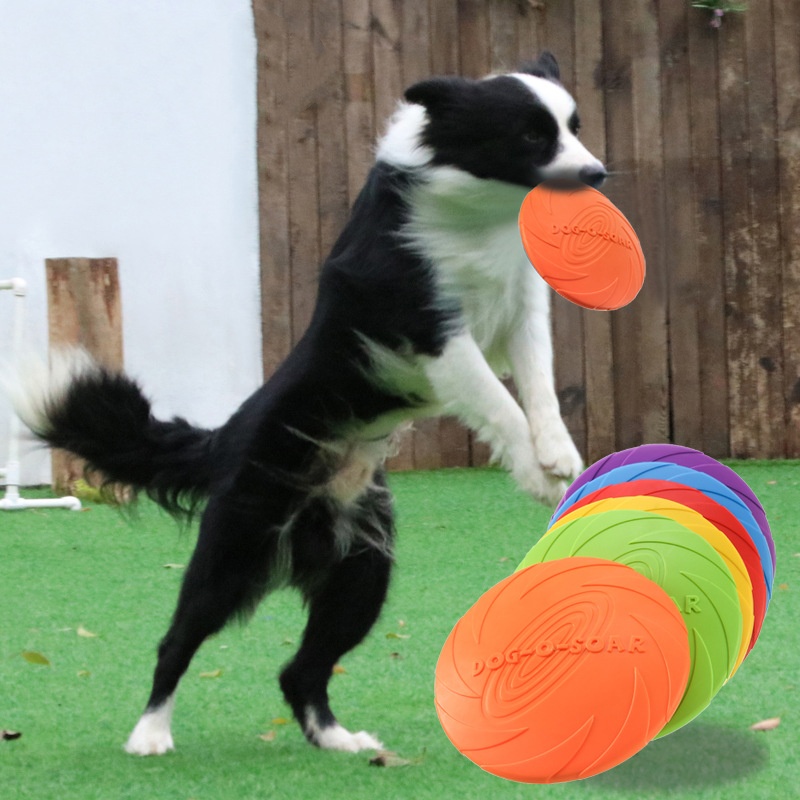 ของเล่นจานบินซิลิโคนแบบอินเทอร - Flying Disc Dog Training Toy บทวิจารณ์และราคา
