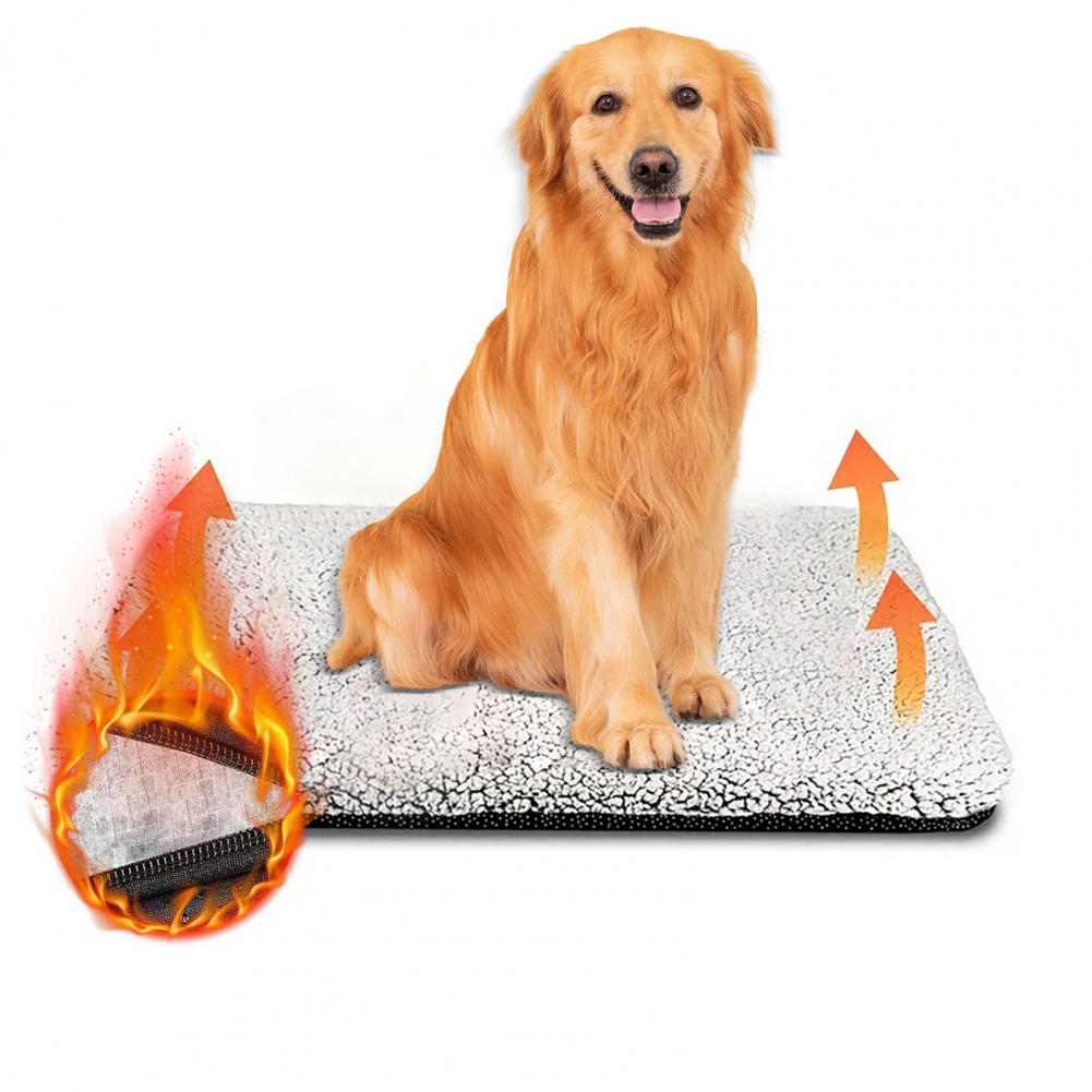 แผ่นรองให้ความร้อนสำหรับสัตว์เ - Pet Beds บทวิจารณ์และราคา