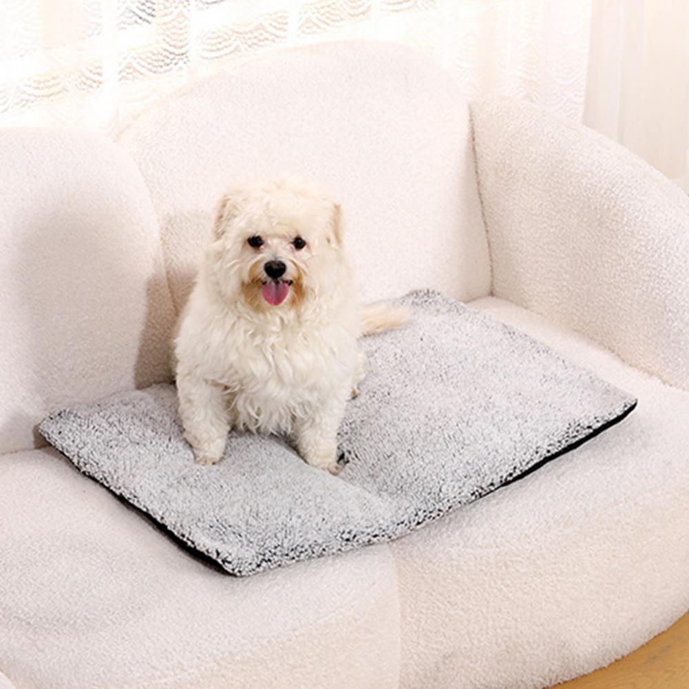 แผ่นรองให้ความร้อนสำหรับสัตว์เ - Pet Beds บทวิจารณ์และราคา