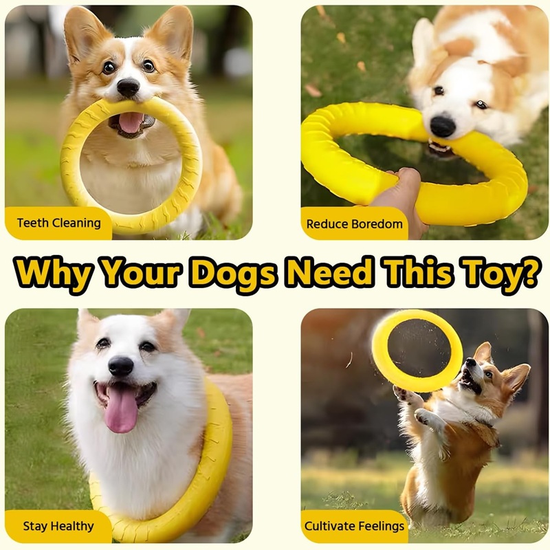 ของเล่นสุนัข จานบินสำหรับสัตว์ - Suction Cup Dog Tug Toy บทวิจารณ์และราคา