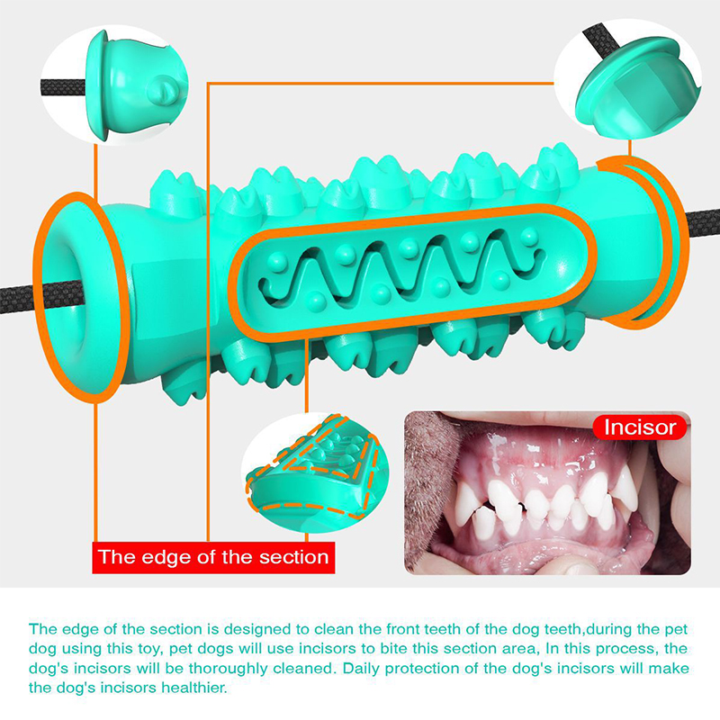 ของเล่นเชือกดึงสำหรับสุนัขแบบถ - Suction Cup Dog Tug Toy บทวิจารณ์และราคา