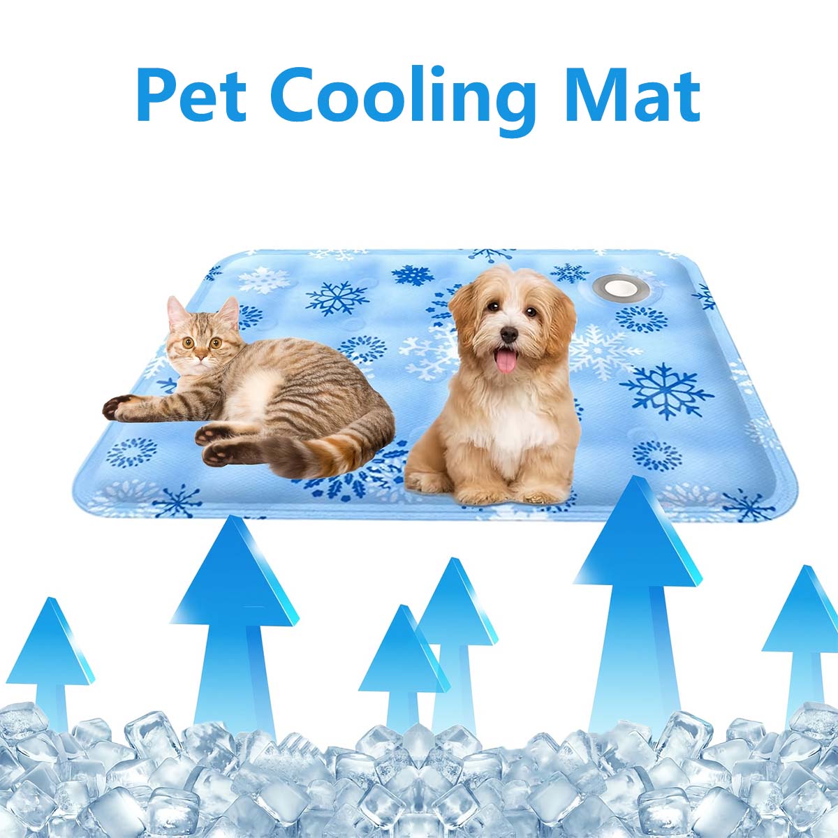 แผ่นรองสัตว์เลี้ยงสำหรับฤดูร้อ - Pet Beds บทวิจารณ์และราคา