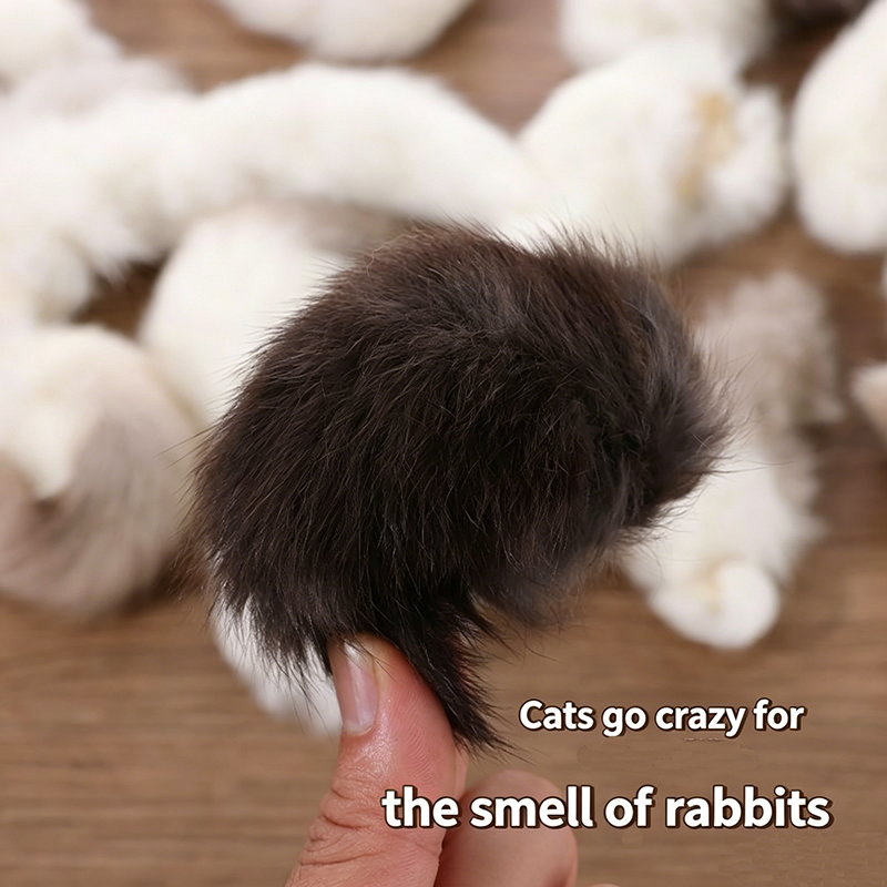 ของเล่นแมวหางกระต่ายธรรมชาติ 2 - Interactive Squeaky Plush Dog Toy บทวิจารณ์และราคา