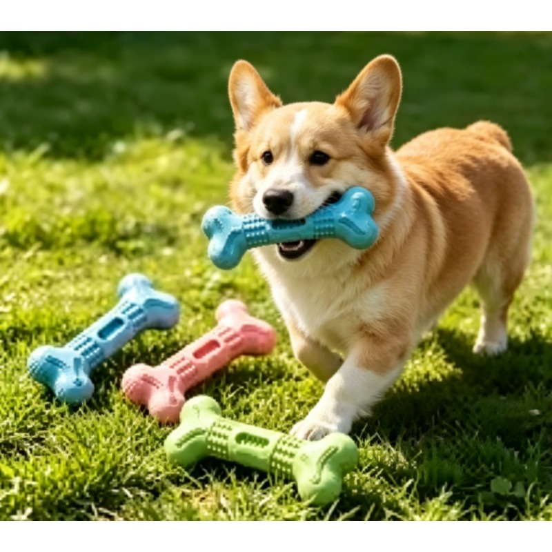 ชุดของเล่นสำหรับสัตว์เลี้ยงแบบ - Teeth Cleaning Dog Chew Bone บทวิจารณ์และราคา
