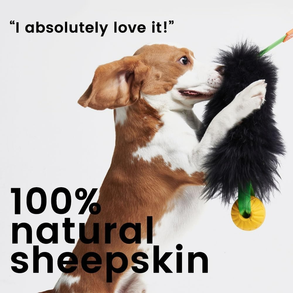 ของเล่นเชือกสำหรับสุนัข ของเล่ - Indestructible Dog Chew Toy บทวิจารณ์และราคา
