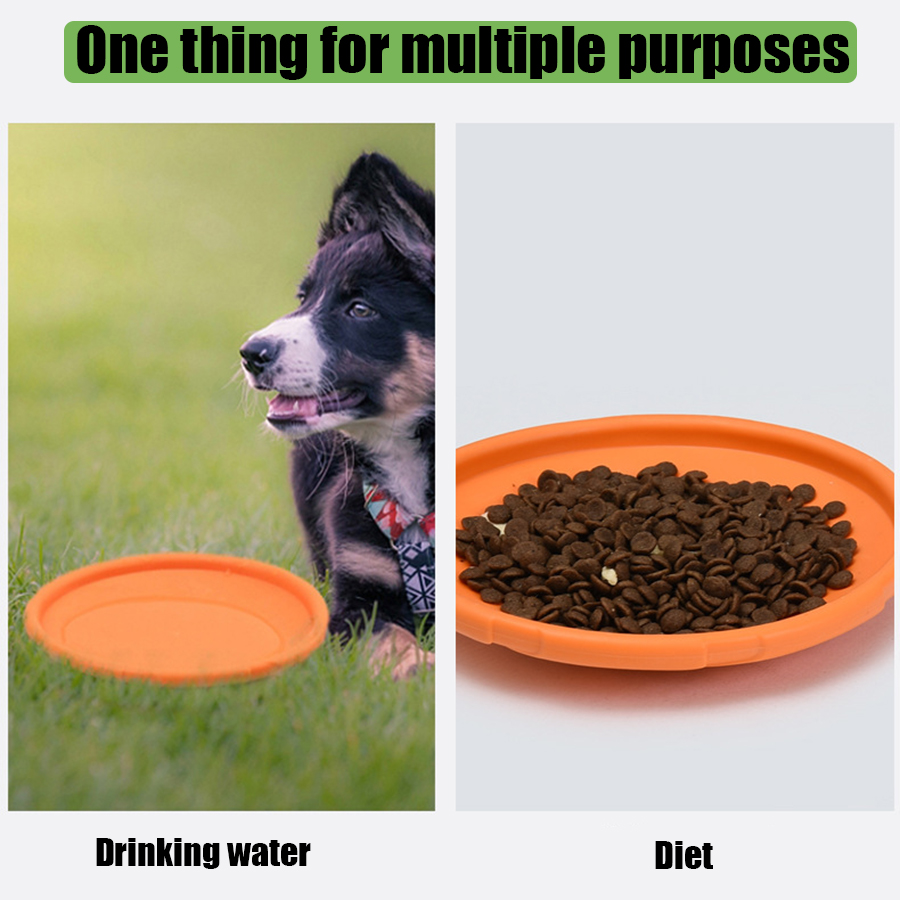 ของเล่นจานร่อนสำหรับสุนัขพันธุ - Flying Disc Dog Training Toy บทวิจารณ์และราคา